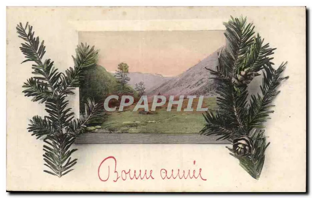 Berglandschaft — Dekoration aus Tannenzweigen — A. S. Serie 370 - Vorderseite