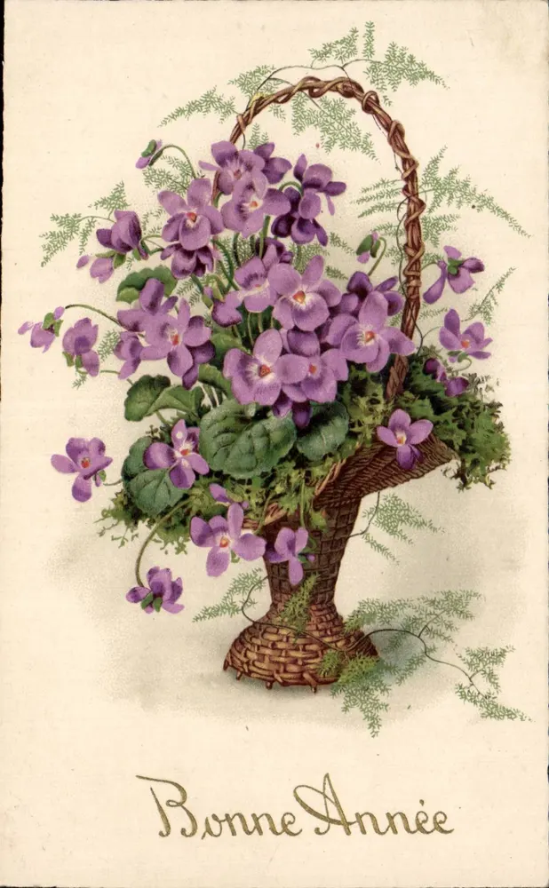 एक बास्केट में वाइओलेट के बूंद — शुभ वर्ष — प्रकाशक पिटियस, संख्या 1901 - आगे