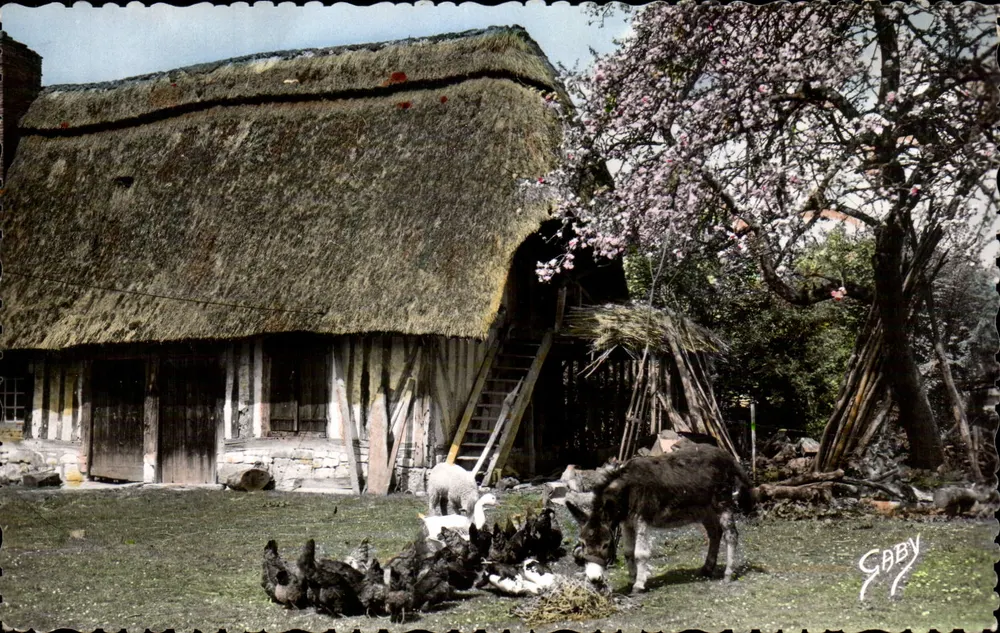 Paisaje rural normando — granja con techo de paja con burro y gallinas — Ediciones GABY - Anverso