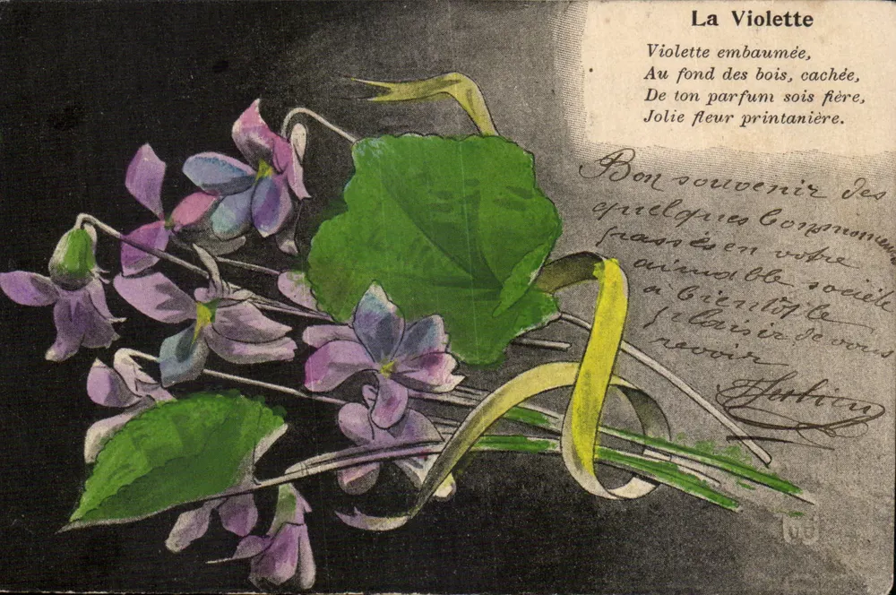 La Violette — poème et bouquet — Ed. D. Paris, n° 09 - Frente