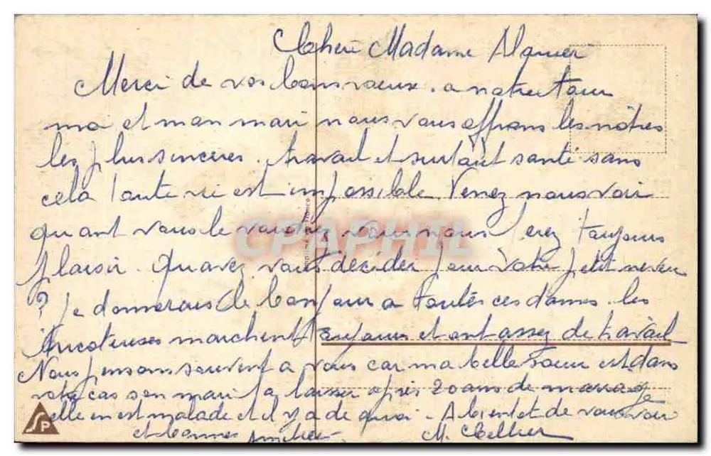 Blumen — rosa Rose, hellrosa, Violets — Verlag nicht sichtbar - Rückseite