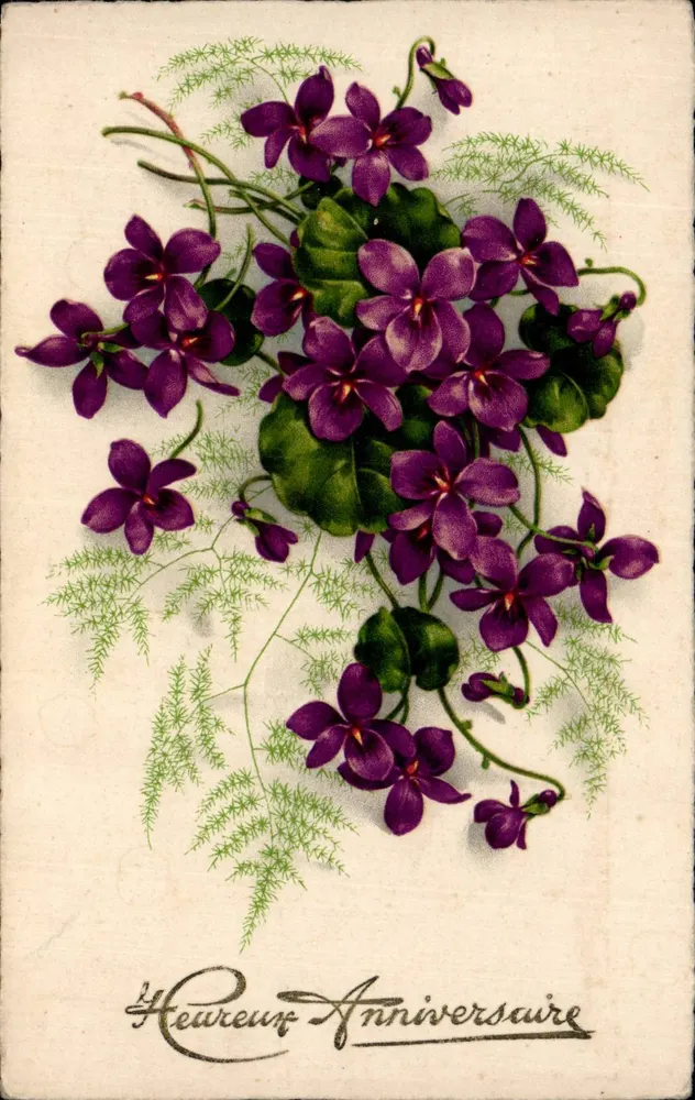 Violetas e samambaias — Feliz Aniversário — Meisypner N° 100 - Frente