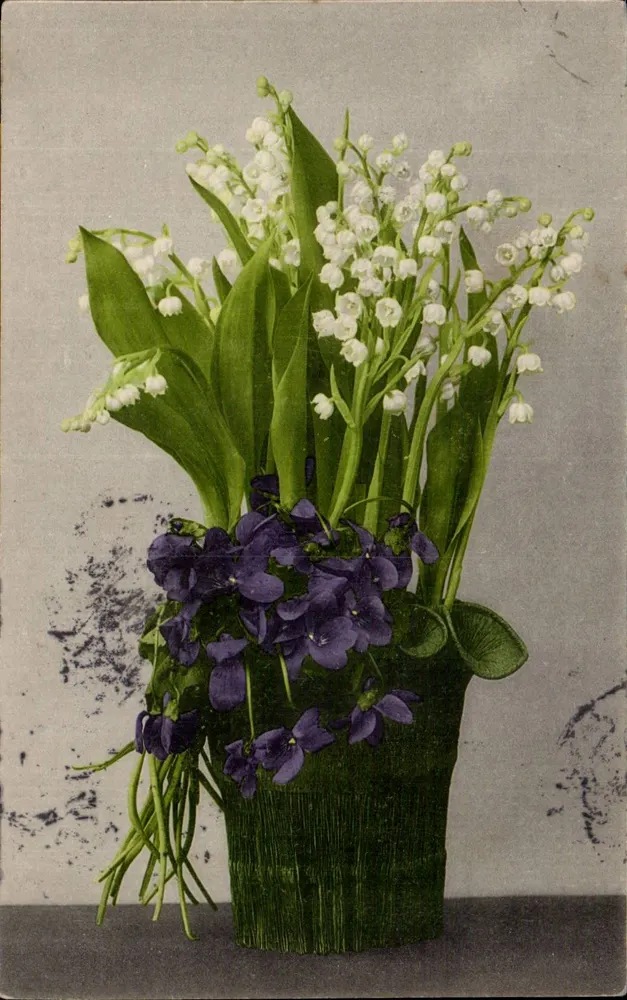 Büschel von Mohnblumen und Violett — Verleger P. Martin Bonneel & Co., Stuttgart — Seriennummer nicht sichtbar - Vorderseite