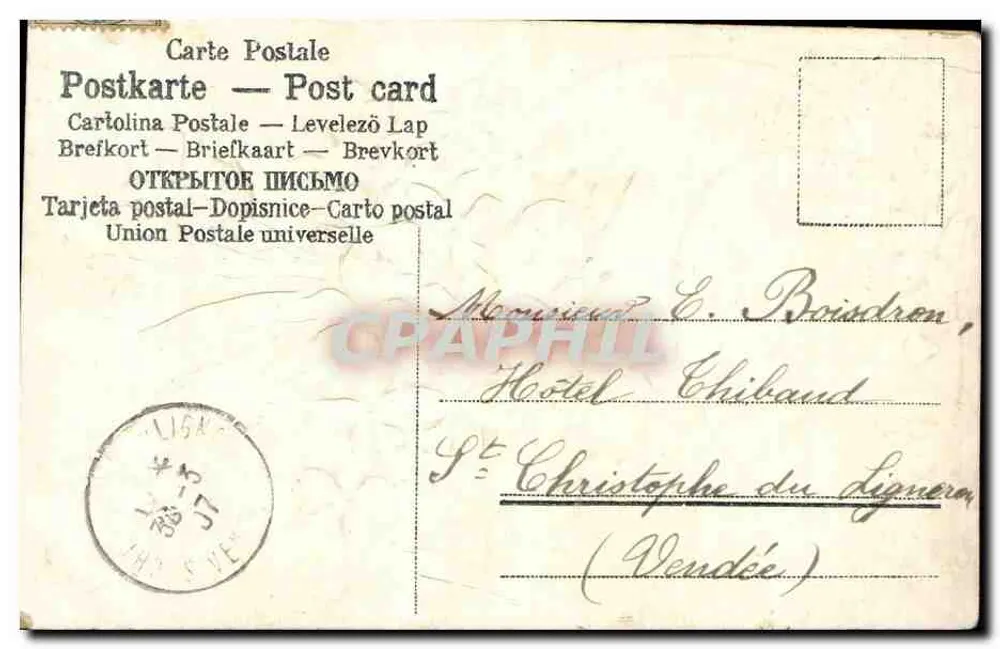 Violetas — Felizes Páscoas — Carta postal multilingue - Verso