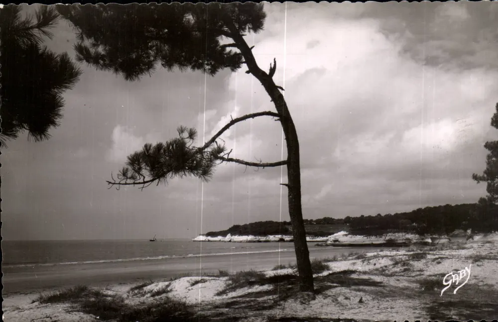 Praia dos Vergnes — Meschers-sur-Gironde — Éditions Gaby, Nantes - Frente