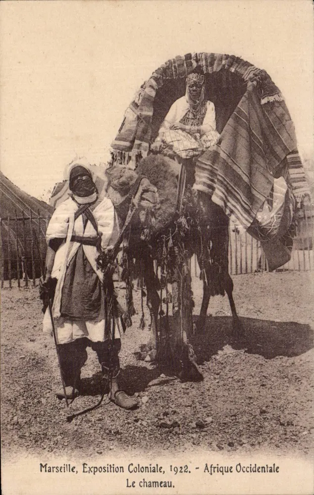Marseille, Kolonialausstellung, 1922 — Westafrika — Der Kamel - Vorderseite