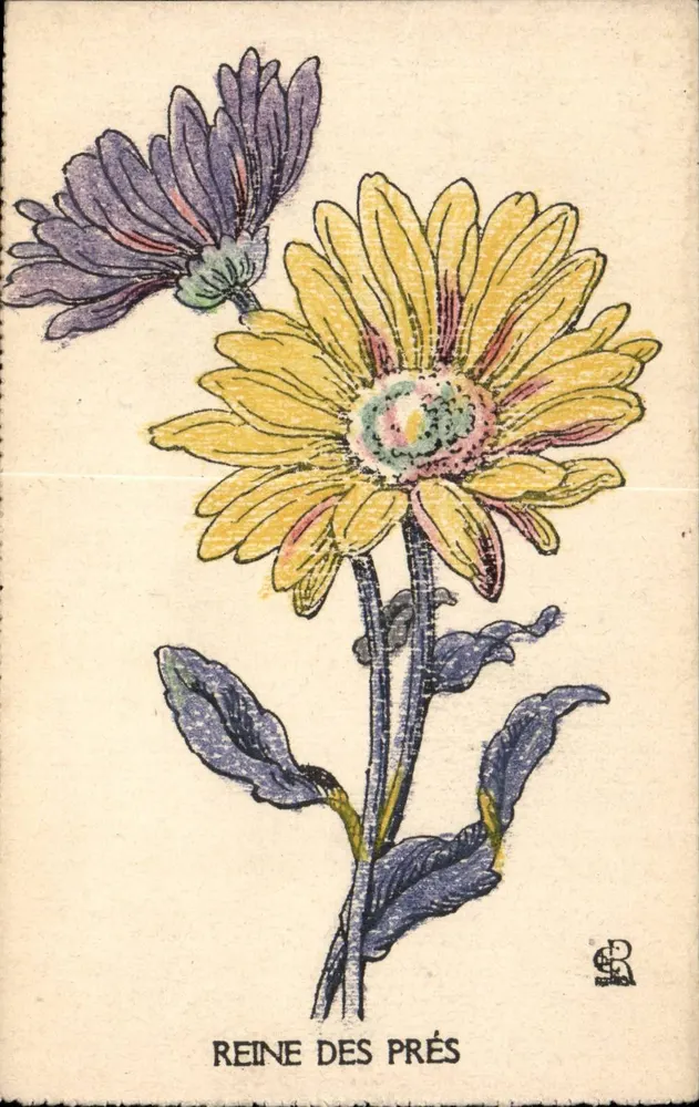 Königin der Wiese — Botanische Illustration — Imp. Ch. Courmont, Paris - Vorderseite