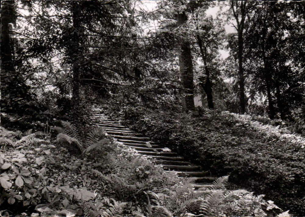 Escadas na floresta — BOURBONNE-LES-BAINS — Parque do Casino — Editor: (51) Réal-Photo, Cie Arts Photo - Frente