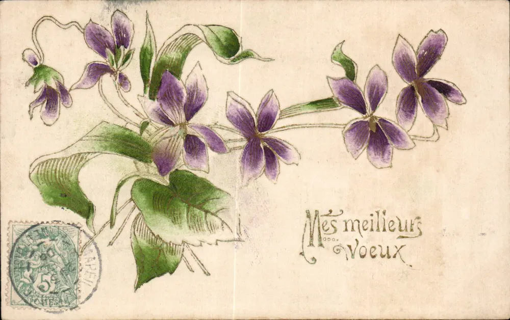 Violetas — Carta postal com texto manuscrito — Editor desconhecido, número de série não visível - Frente