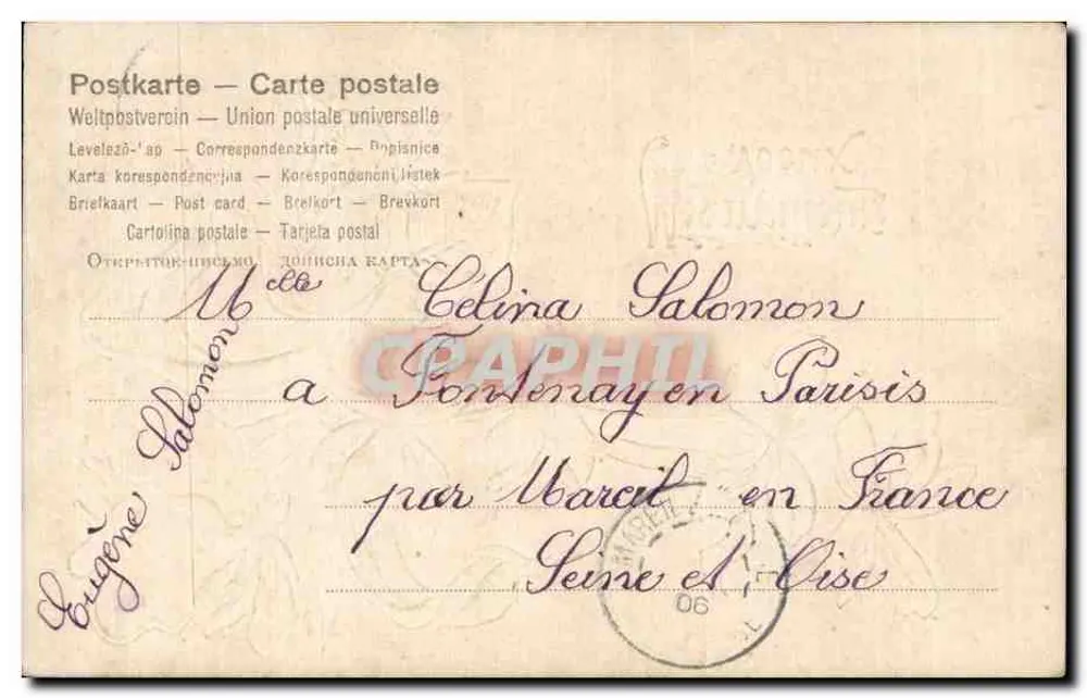 Violetas — Carta postal com texto manuscrito — Editor desconhecido, número de série não visível - Verso
