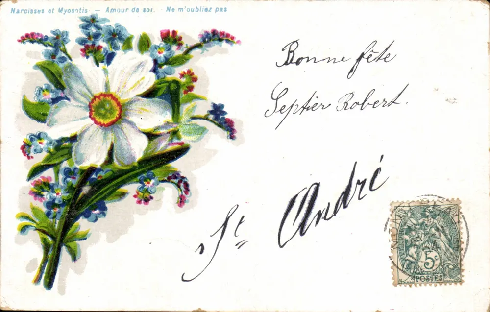 Narcisos e Myosotis — Amor próprio — Não me esqueçam — editor não visível - Frente
