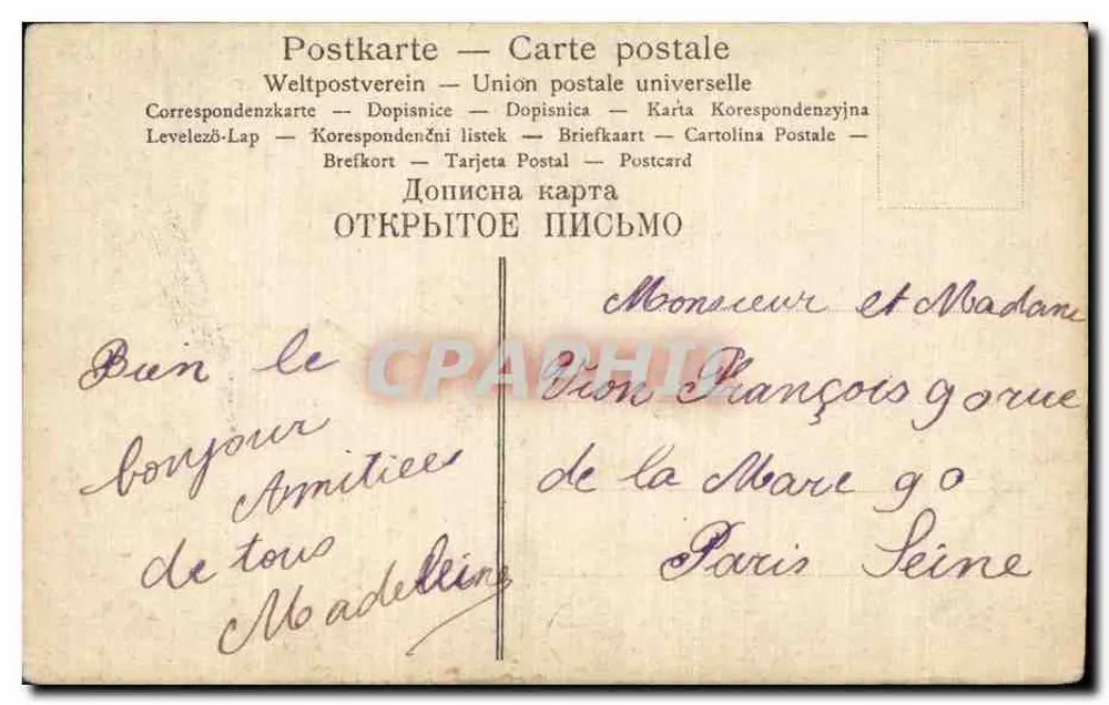 Arranjo de margaridas — ilustração colorida — editor desconhecido - Verso