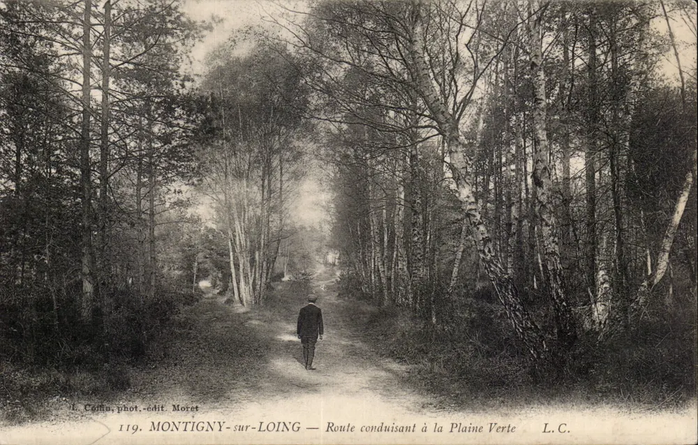 Montigny-sur-Loing — Straße führend zum Grünen Feld — L. Coffin, Foto. Verlag Moret, n°119 - Vorderseite