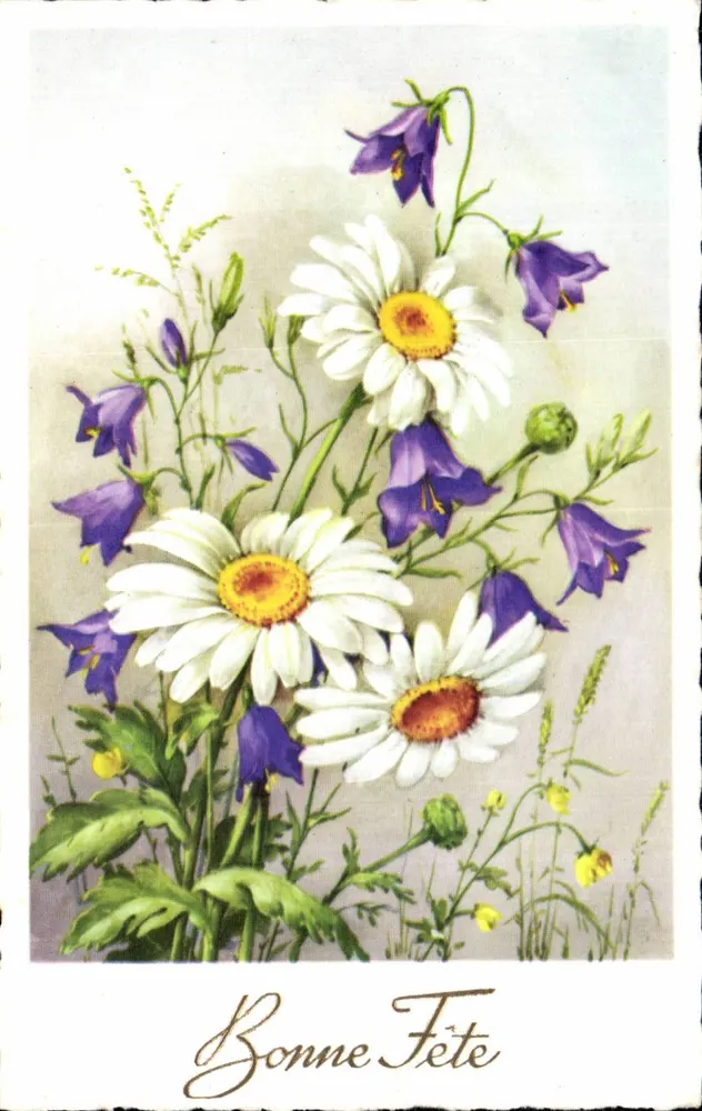 Frühlingsblumen — Frohe Geburtstagsgrüße — Verlag unbekannt - Vorderseite