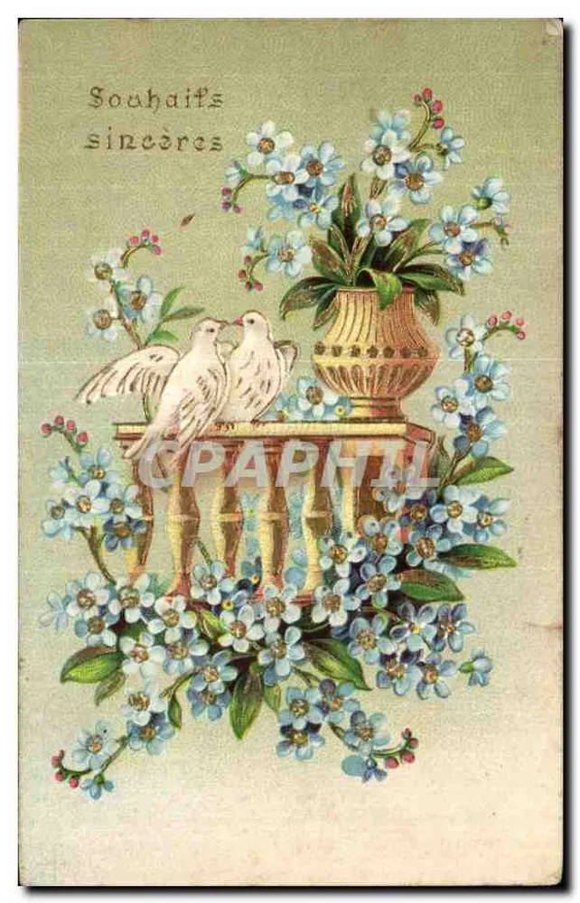 Deux colombes — sur un vase orné — éditeur non visible - Frente