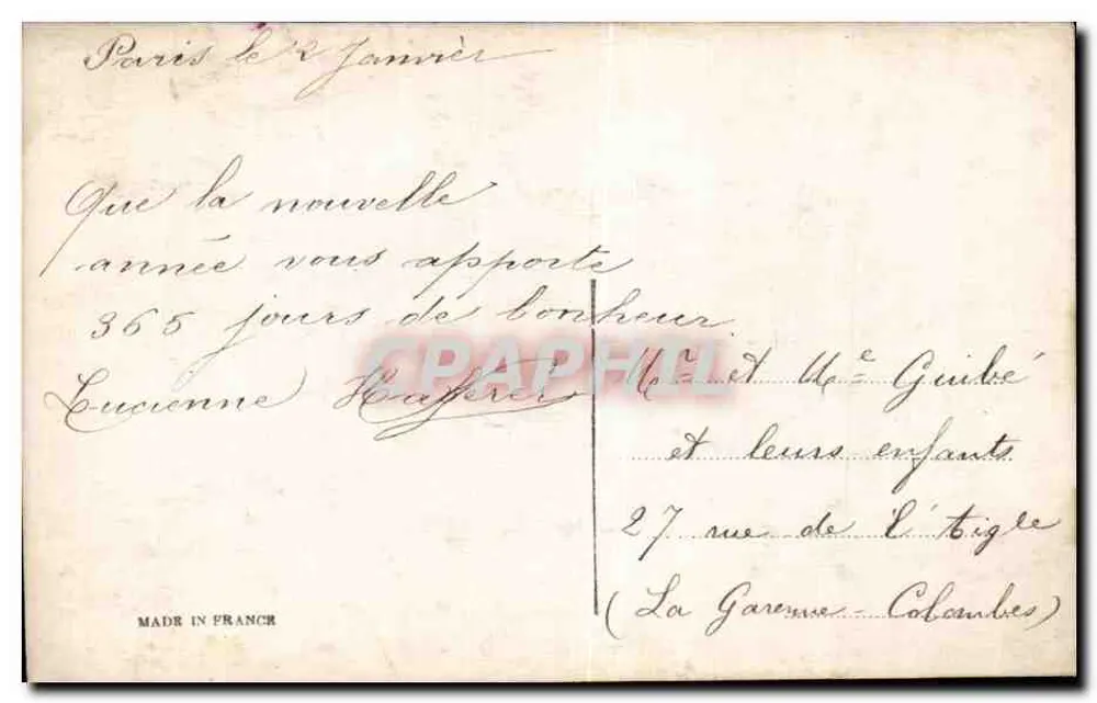 Hollunder- und Rosenstrauß — Frohe Neujahr — Verlag Th. Nénot, Nr. 333 - Rückseite