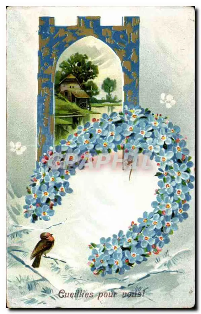 Blaue Blumen und Vogel — Landschaftsansicht durch ein Torbogen — Verlag nicht sichtbar - Vorderseite