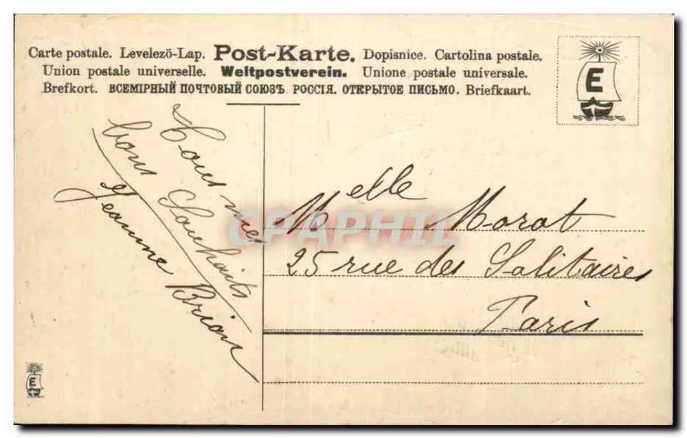 Frühlingsblumen — Frohes neues Jahr — Verlag nicht sichtbar - Rückseite