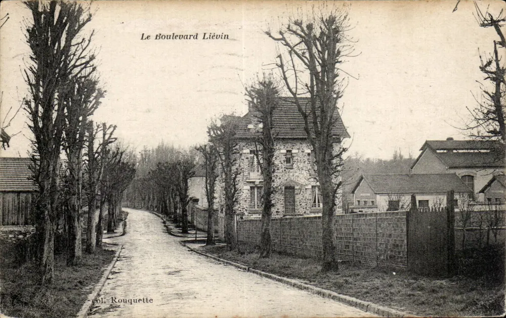 Le Boulevard Liévin — vue d'une rue bordée d'arbres et de maisons — éditeur Col. Rouquette - Frente