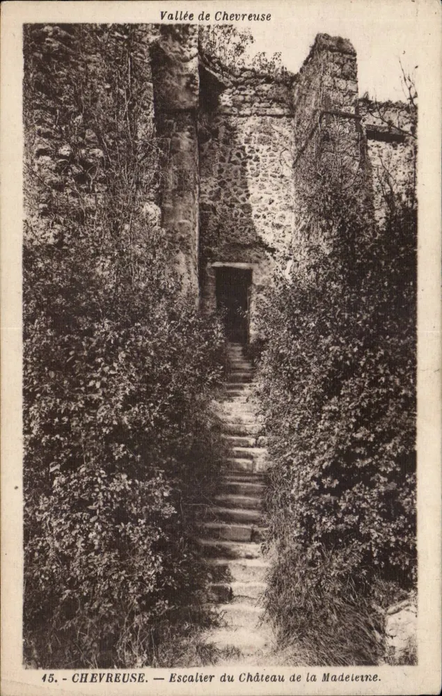 Vale de Chevreuse — Escada do Castelo de La Madeleine — Editor F. David, Versailles, n° 45 - Frente