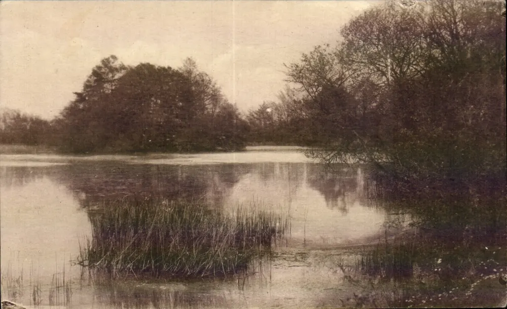Montfort-l'Amaury — Der See der Ebene — Verleger J. Wazant, Nr. 41 - Vorderseite