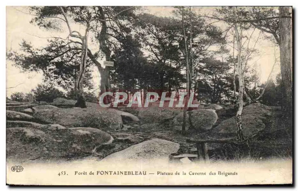 Wald von FONTAINEBLEAU — Plateau der Caverne des Brigands — Verlag ELD, Nr. 453 - Vorderseite