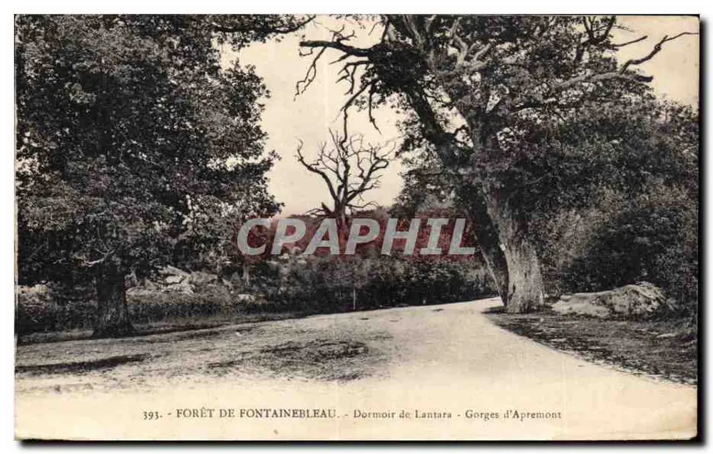 Forêt de Fontainebleau — Dormoir de Lantara — Gorges d'Apremont — n° 393 - Vorderseite