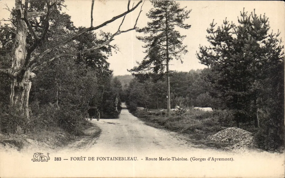 Wald von Fontainebleau — Straße Marie-Thérèse (Schluchten von Apremont) — Verleger: 383 - Vorderseite