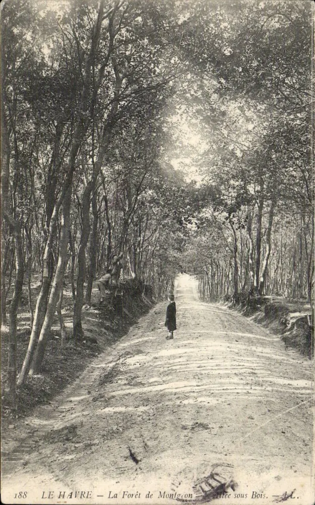 Le Havre — La Forêt de Montgolon — Baum im Wald — A.L. — Nr. 188 - Vorderseite