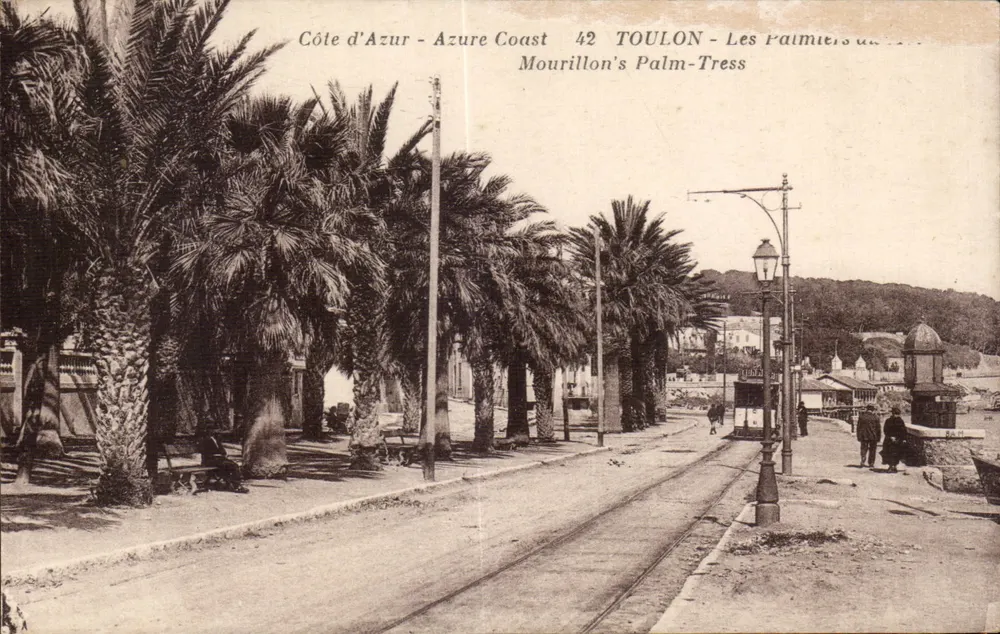 Toulon - Les Palmiers du Mourillon — Éditeur: Livre de la Côte d'Azur, n°42 - Frente