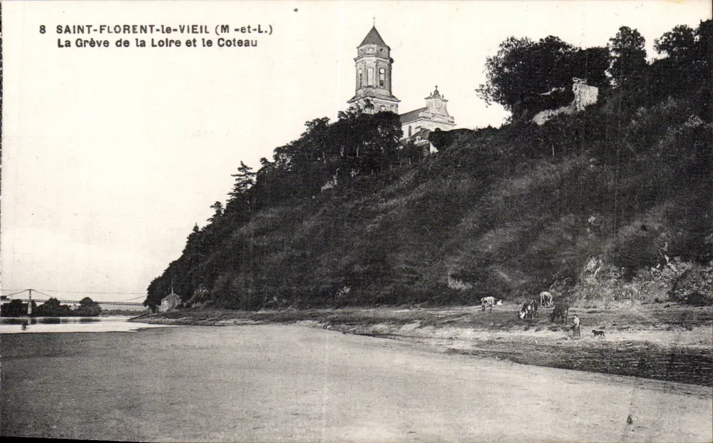 Saint-Florent-le-Vieil (M-et-L.) — Die Loire-Strandpromenade und der Hügel — F. Chapeau, Nantes - Vorderseite