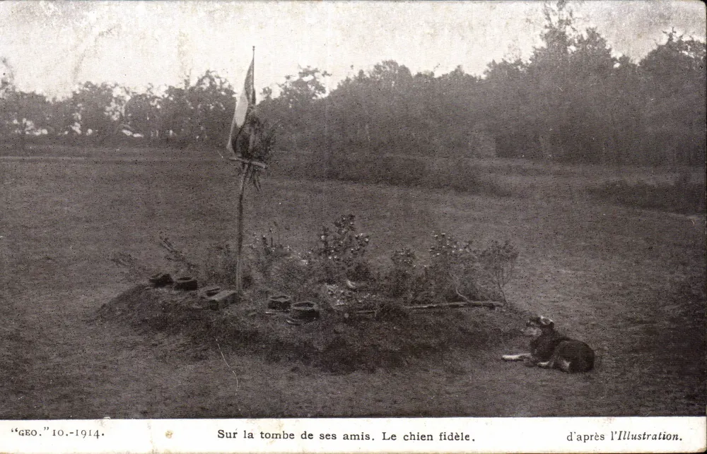 Treuer Hund — Auf dem Grab seiner Freunde — nach 'L'Illustration', "GEO" 10-1914 - Vorderseite