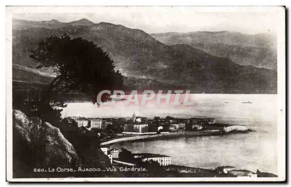 Ajaccio — Allgemeiner Blick — Édition des Palmiers, Ajaccio, Nr. 260 - Vorderseite