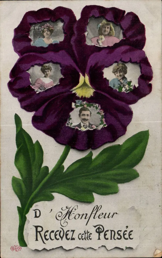 Pensamento violeta — retratos em inserto — E.D. editor - Frente