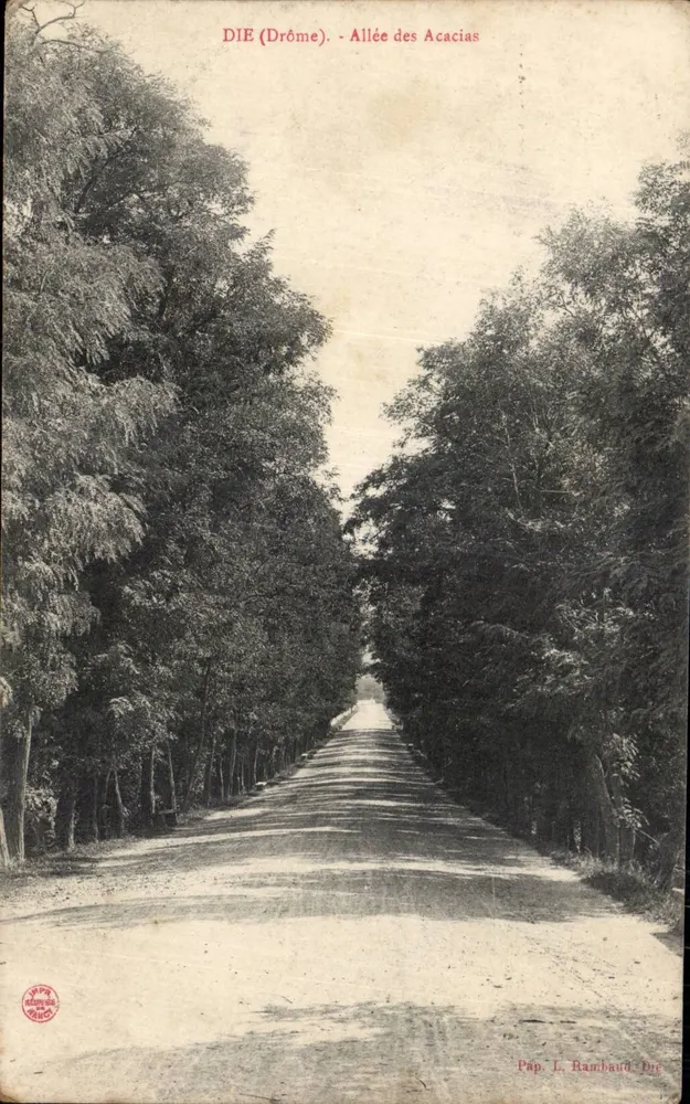 Die (Drôme) - Avenida dos Acácias — Páp. L. Rambaud, Drôme - Frente