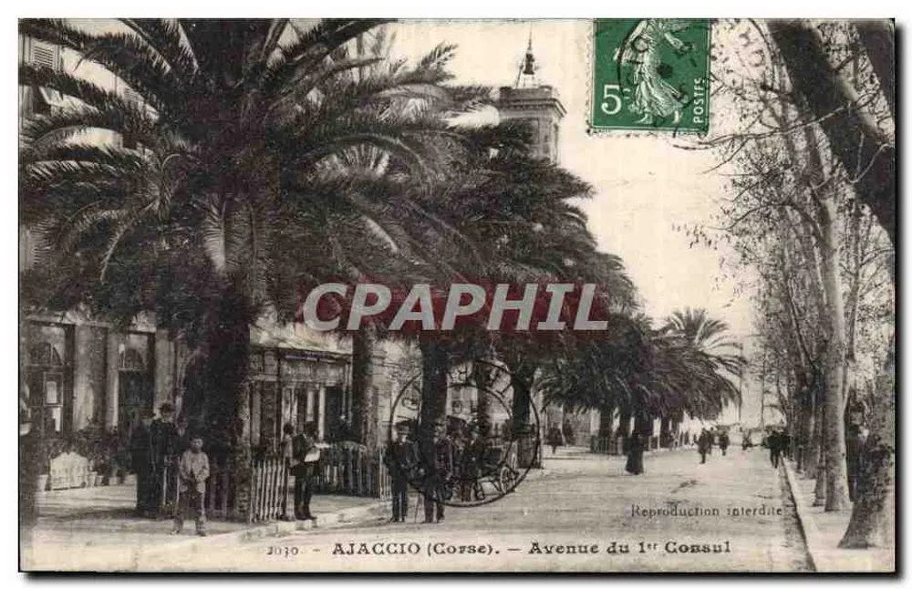 Ajaccio (Korsika) — Avenue du 1er Consul — reproduction interdite - Vorderseite
