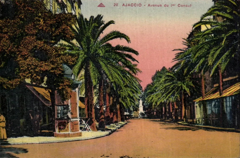 Ajaccio - Avenue du 1er Consul — Ansicht einer Straße mit Palmen — Verlag unbekannt, Nr. 20 - Vorderseite