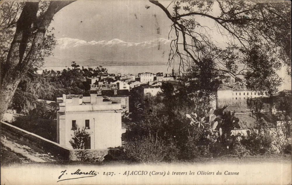 Ajaccio (Korsika) durch die Olivenbäume von Casone — J. Moretti, n° 1427 - Vorderseite
