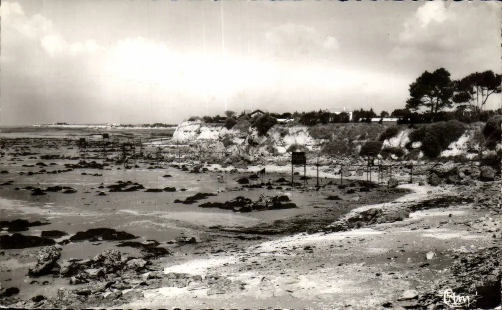 Strand der Sapinière — Angoulins (Charente-Maritime) — C. Mancer - Vorderseite