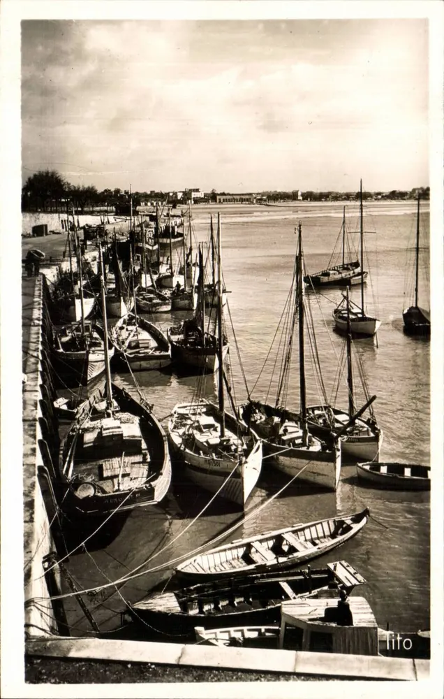 O Porto — Royan — Edições TITO, Bordeaux - Frente