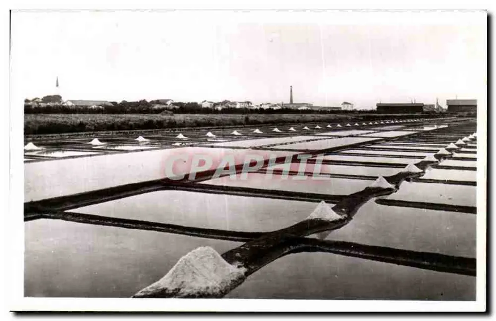 Isla de Ré — Salinas — Ediciones Nozais, Nantes - Anverso