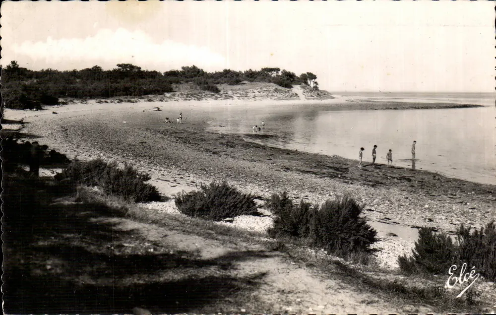 Praia de Trousse-Chemise — Ilha de Ré — Editor Elcé - Frente