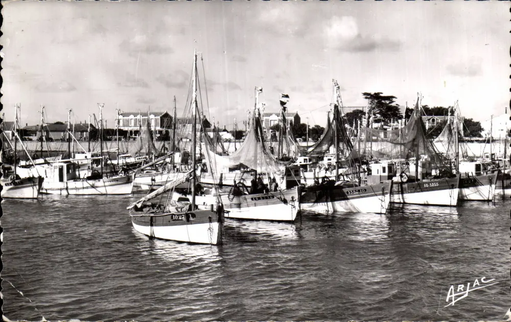 Porto de pesca em La Cotinière — Edição ARJAC — n° 10-355 - Frente