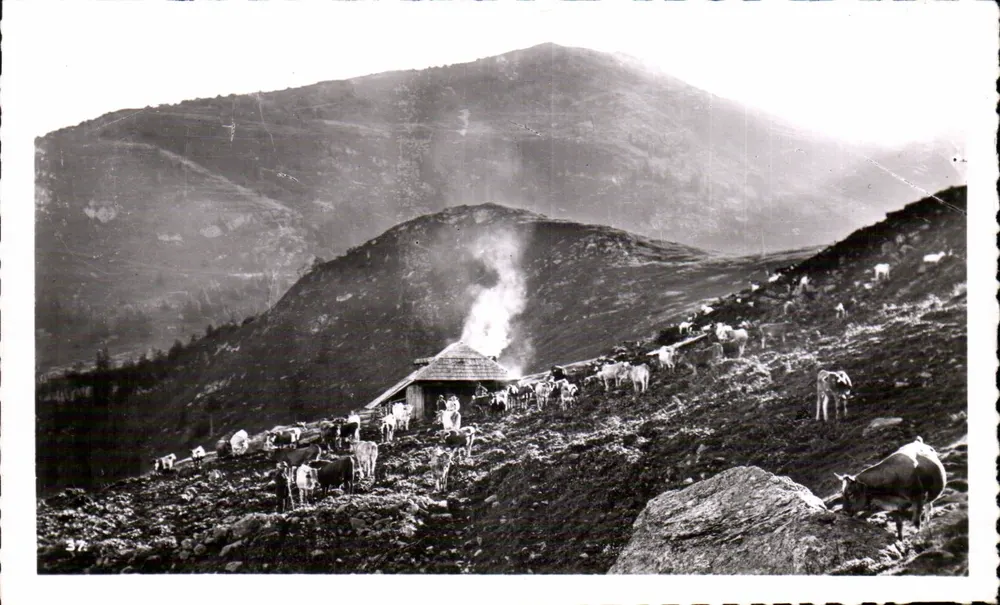 Dauphiné-Isère — Em Allevard — A Berçaria do Collet (1.621 m.) — Edição da Maison Alpine, Allevard-les-Bains - Frente