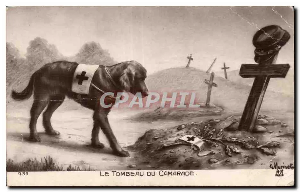 Hund der Roten Kreuz — Das Grab des Kameraden — C. Marineto, Paris - Vorderseite