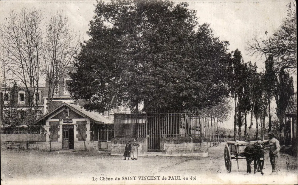 Der Eiche von Saint Vincent de Paul im Sommer — Saint-Vincent-de-Paul - Vorderseite