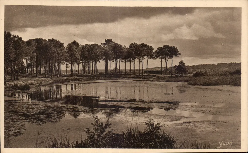 Die Landes de Gascogne — Ein Stück des Étang d'Aureilhan, nahe Mimizan — Edition d'Art YIVON, Naully-Perls - Vorderseite