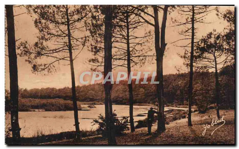 Landschaft in den Landes de Gascogne — Aureilhan — Phototypie Marcel Dilboy, Bordeaux - Vorderseite