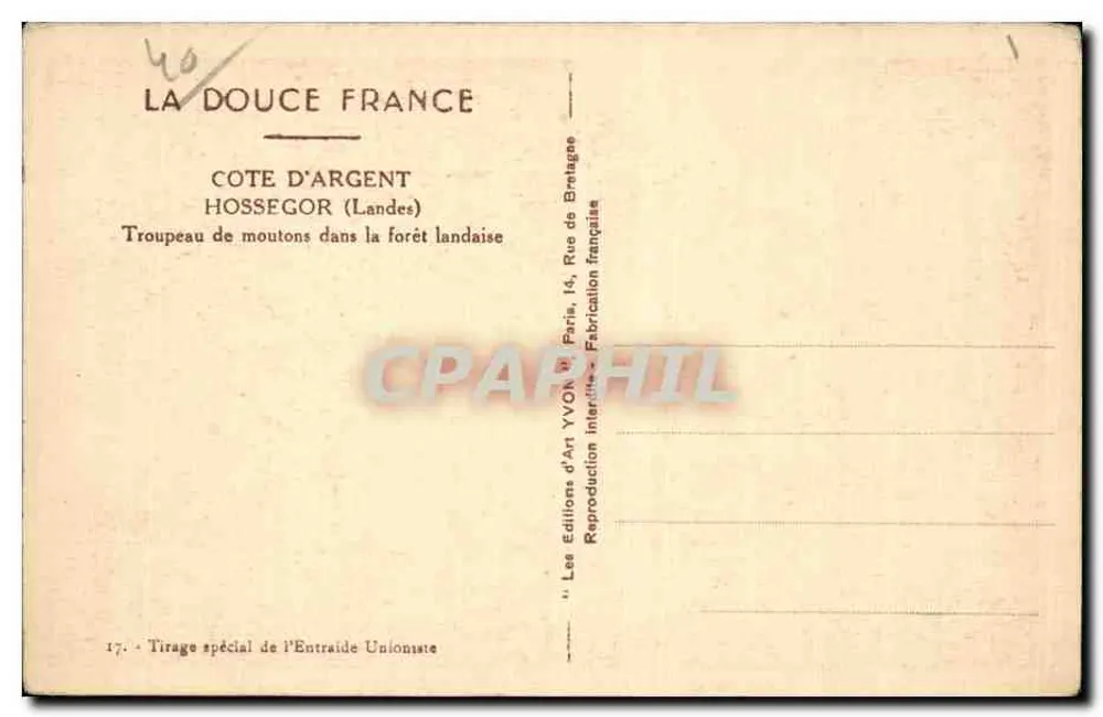 Schafherde in der Landes-Wäldern — Hossegor (Landes) — Éditions d'Art Yvon - Rückseite