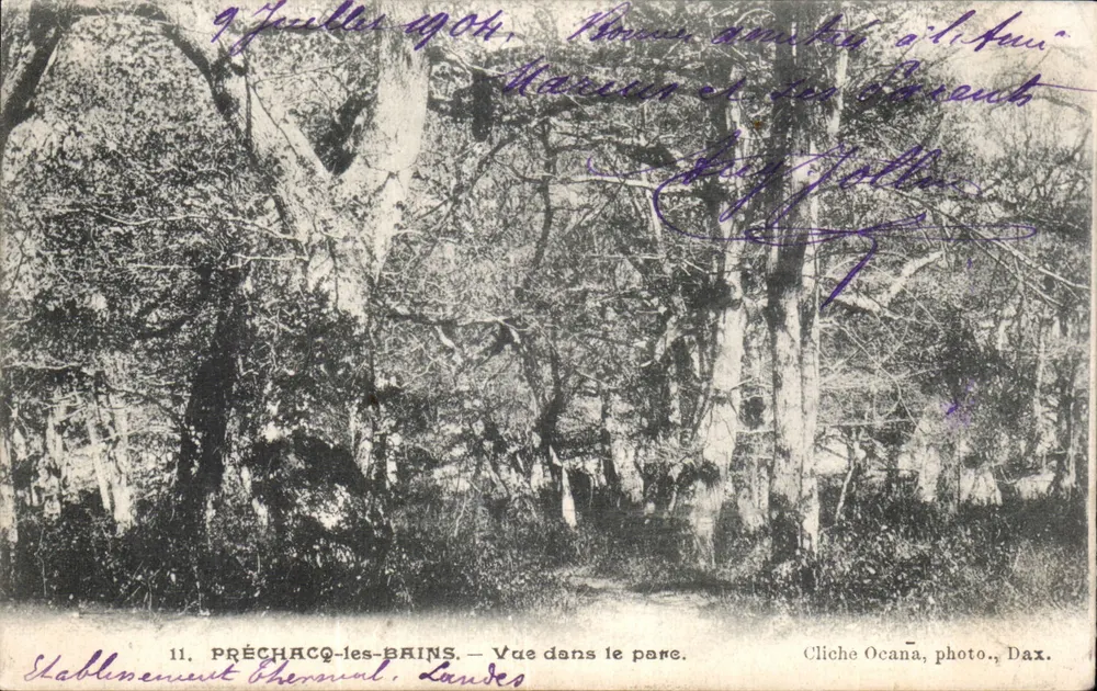 Préchacq-les-Bains — Uitzicht in het park — Cliché Ocaña, foto. Dax - Voorkant